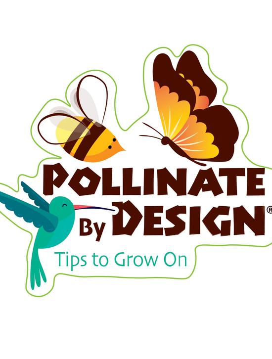 Pollinate By Design