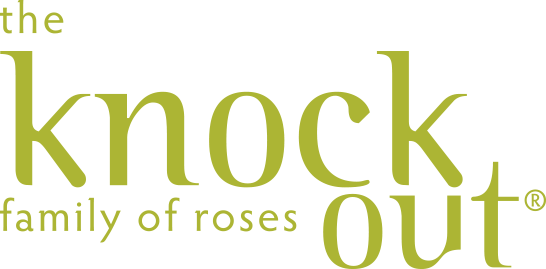 Knock Out&reg; Roses