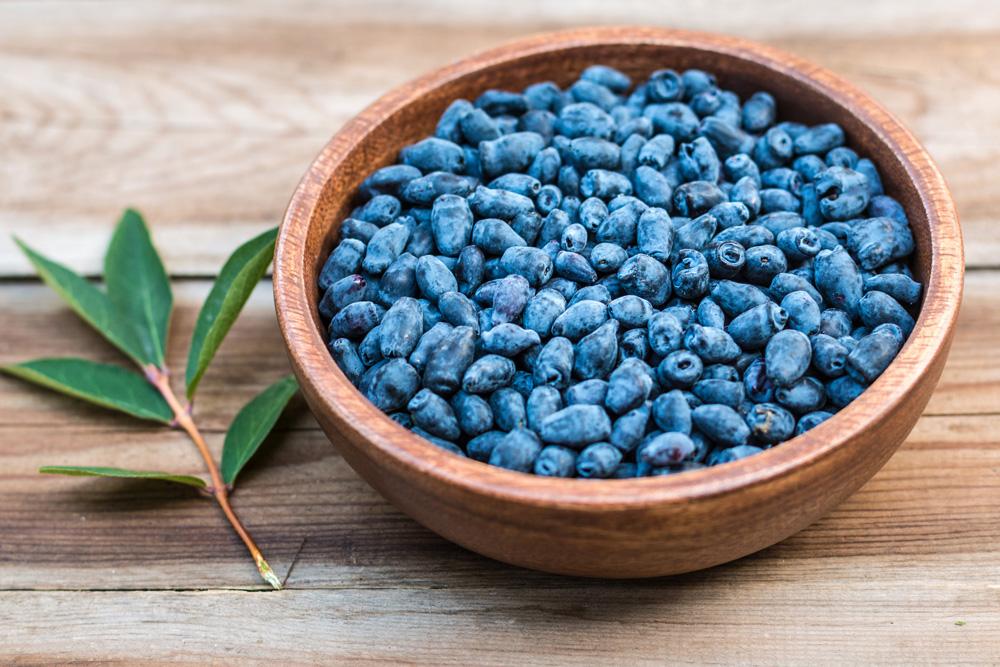 Haskap Berry
