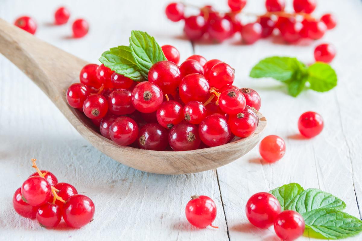 Currants
