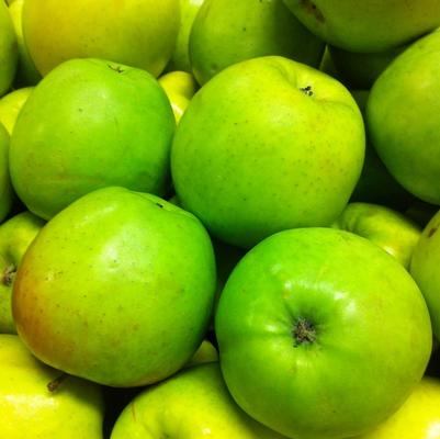 Malus domestica Mutsu