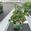 View Current Crop Photo