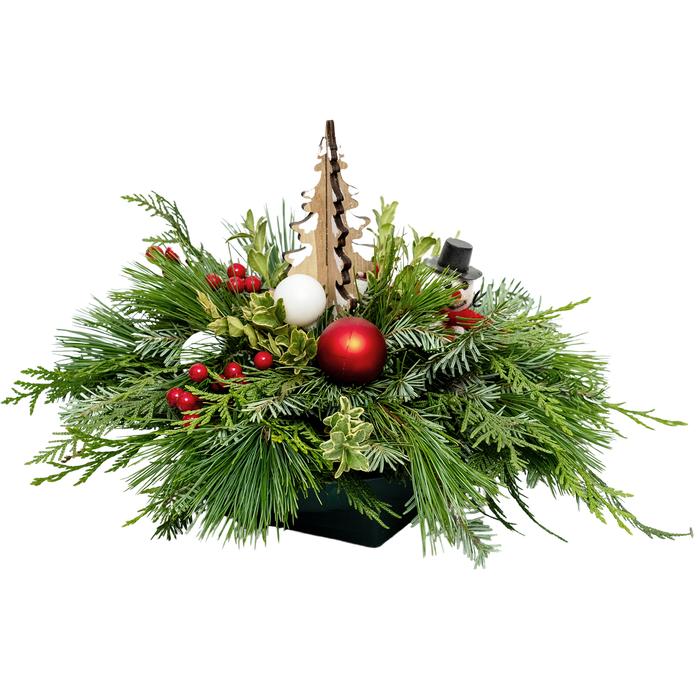 Tree 6