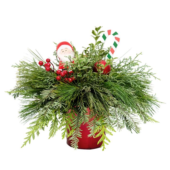 Santa 4.5