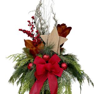 Winter Porch Pot Rustic Star