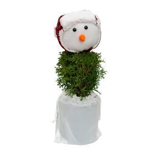 #1 Cont. W/ Potcover