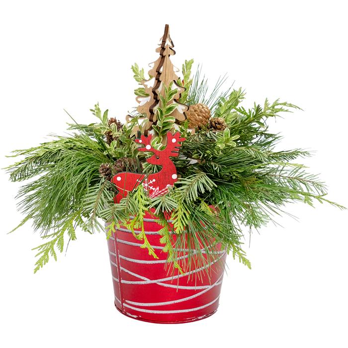 Tree 6